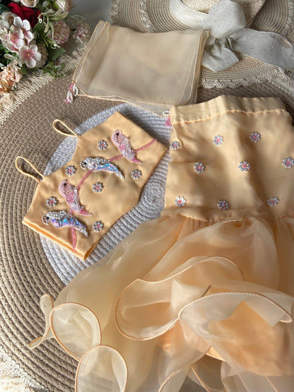 Designer Handwork Parrot Top with Fish Cut skirt & Dupatta