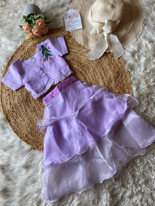 Hand Painted Organza Lehenga