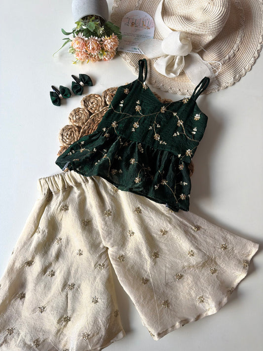 Embroidery sequin Work Peplum Co-ord Set