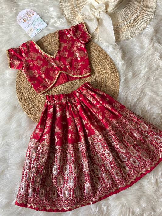 Red Banarasi Heavy Daman Lehenga