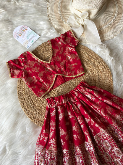 Red Banarasi Heavy Daman Lehenga