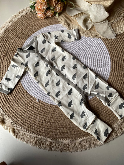 Diwali Sale Onesie Newborn (Organic Cotton) D26404
