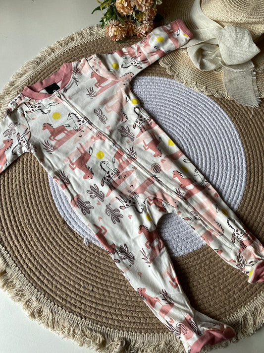 Diwali Sale Onesie 3-6 Months (Organic Cotton) D26426