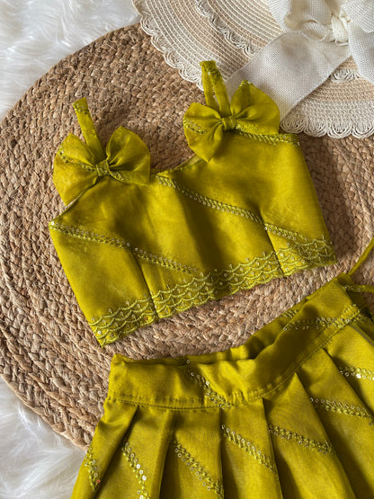 Cross Sequence zari Lehenga