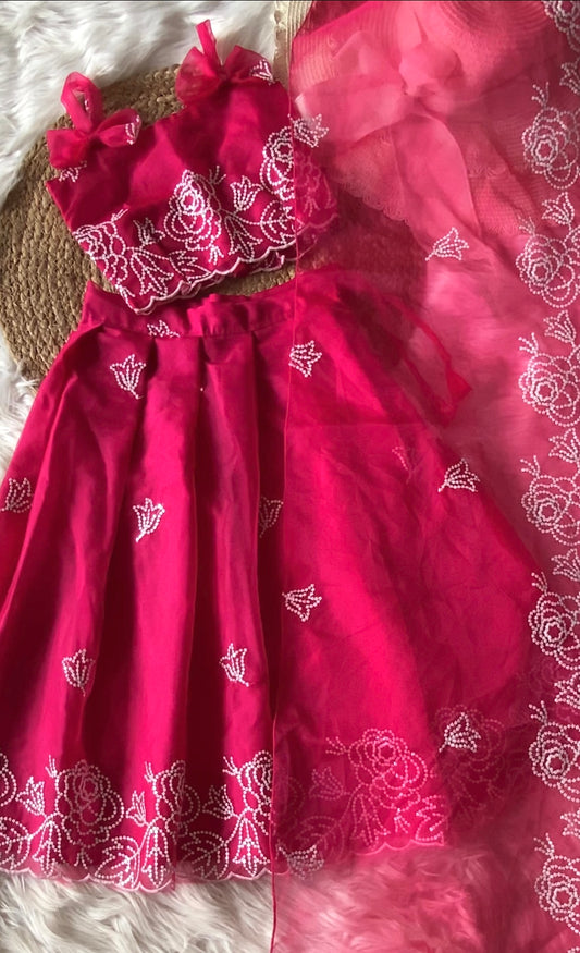 Floral Thread Embroidery Lehenga