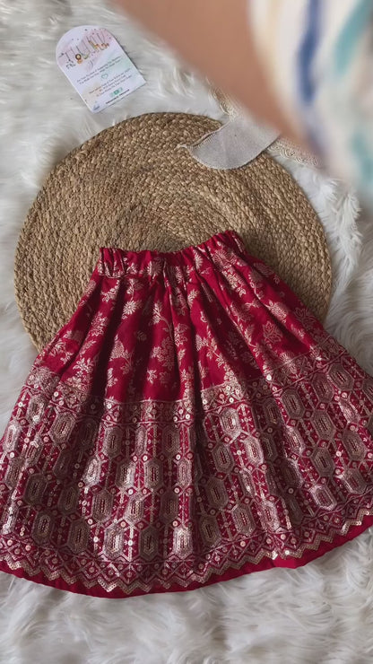 Red Banarasi Heavy Daman Lehenga